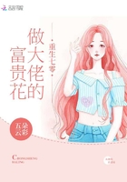 圣光暴君