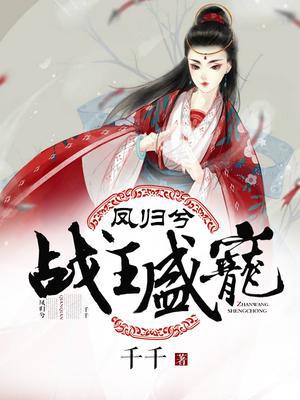 凤归兮:战王盛宠